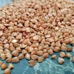 Como o trigo mourisco comum lida com as tarefas dos cozinheiros e das donas de casa: um grão que pode fazer mais do que cozer-se a si próprio como-o-trigo-mourisco-comum-lida-com-as-tarefas-dos.jpg