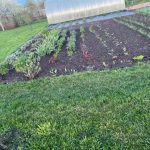 O princípio da sanduíche: como funcionam as camas quentes e se funcionam mesmo o-principio-da-sanduiche-como-funcionam-as-camas-quentes-e.jpg