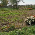 Porque é que o soro de leite é inútil na cama na sua forma pura: um olhar científico sobre a prática popular porque-e-que-o-soro-de-leite-e-inutil-na.jpg