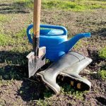 Quando o jardim pede silêncio: porquê abandonar o cortador de relva no auge da estação quando-o-jardim-pede-silencio-porque-abandonar-o-cortador-de.jpg